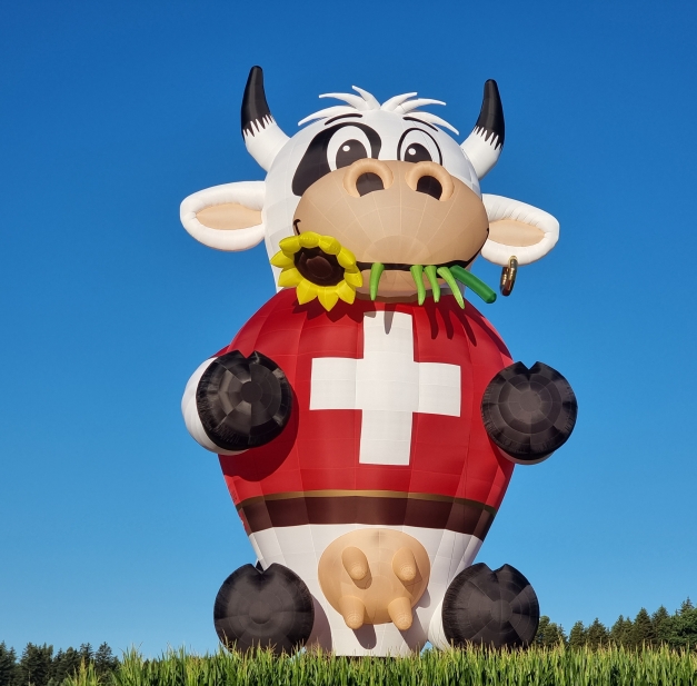 Swiss Cow Blüemli